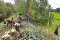MiniIMG_20231104_113211