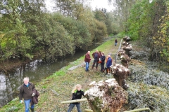 MiniIMG_20231104_113215