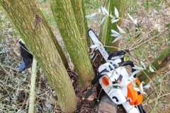 MiniIMG_20231104_113242