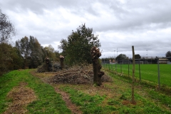 MiniIMG_20231104_121253