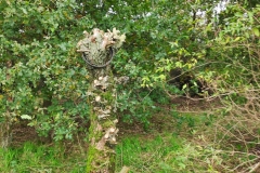 MiniIMG_20231104_121409