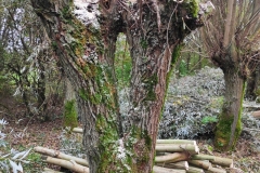 MiniIMG_20231104_121517