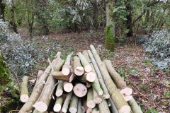 MiniIMG_20231104_121523