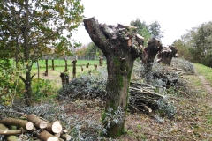 MiniIMG_20231104_121556