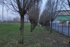 MiniIMG_20231230_084534