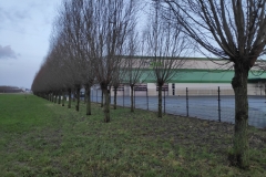 MiniIMG_20231230_084542
