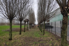 MiniIMG_20231230_111610