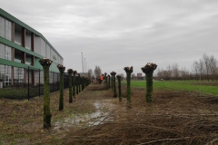 MiniIMG_20231230_115445
