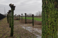MiniIMG_20231230_115520