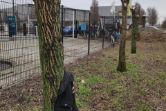 MiniIMG_20231230_121736_1