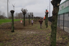MiniIMG_20231230_121744_1