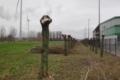 MiniIMG_20231230_122920