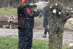 IMG_2254