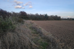 MiniIMG_20220930_182150