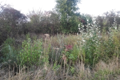 MiniIMG_20220930_182152