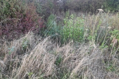 MiniIMG_20220930_182155_1