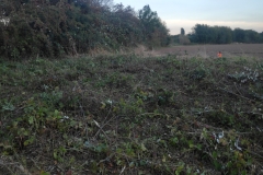 MiniIMG_20220930_184520