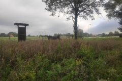 MiniIMG_20221001_095818_1