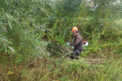 MiniIMG_20221001_095827