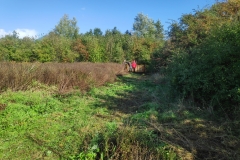 MiniIMG_20221001_122321