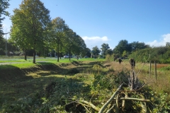 MiniIMG_20221001_133502