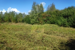 MiniIMG_20221001_133725