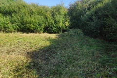 MiniIMG_20221001_133745