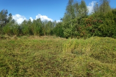 MiniIMG_20221001_133749
