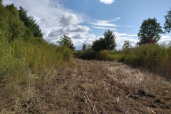 MiniIMG-20220917-WA0011