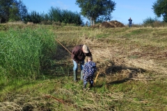 MiniIMG_20220917_093611