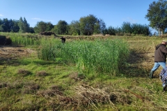 MiniIMG_20220917_093614