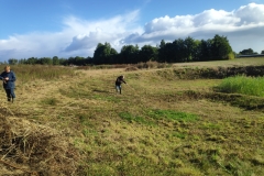 MiniIMG_20220917_100130