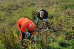 MiniIMG_20220917_105225