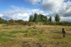 MiniIMG_20220917_111455_1