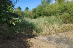 MiniIMG_20220917_114156