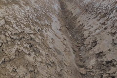 MiniIMG_20220917_120556