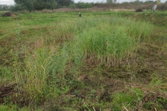 MiniIMG_20230923_094601