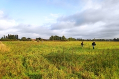 MiniIMG_20230923_101018_1