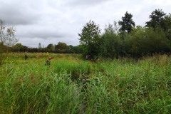 MiniIMG_20230923_111941_1