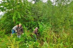 MiniIMG_20230923_112005_1