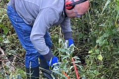 MiniIMG_4196
