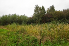 MiniIMG_20231007_083300