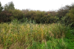 MiniIMG_20231007_083306
