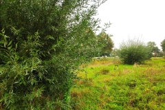 MiniIMG_20231007_090402