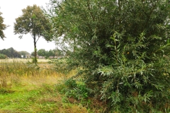 MiniIMG_20231007_090404_1