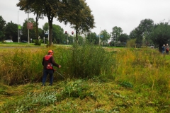 MiniIMG_20231007_092929