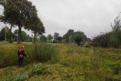 MiniIMG_20231007_092932