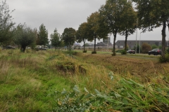 MiniIMG_20231007_094232_1