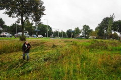 MiniIMG_20231007_094235_1