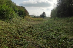 MiniIMG_20231007_112003_1